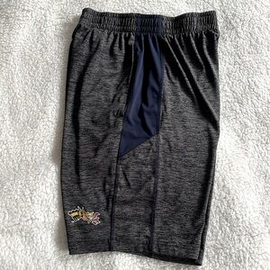 Drexel Dragon Logo Athletic Shorts, S